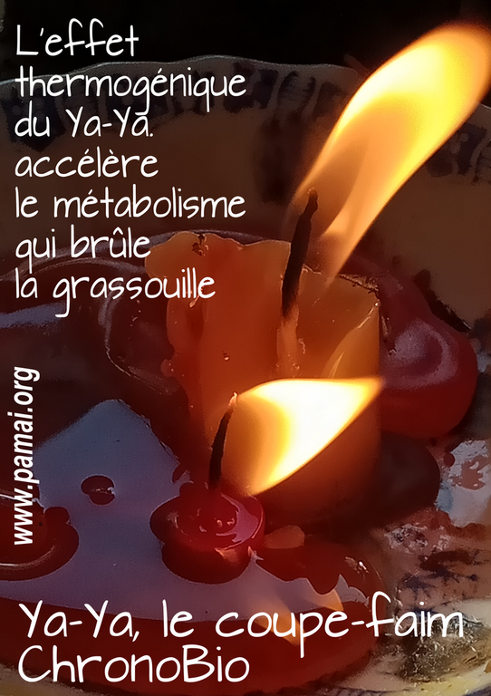 ya-ya le coupe faim chronoBio