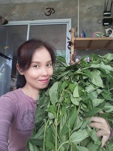 Pueraria mirifica, pamai.org