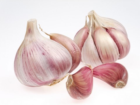 l'ail anti cholesterol, pamai.org