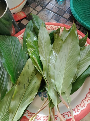 FEUILLES  DE WAN SAO LONG
