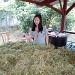 ภาพนำเสนอ