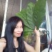 ภาพนำเสนอ