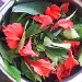 ภาพนำเสนอ