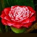 ภาพนำเสนอ
