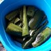 ภาพนำเสนอ
