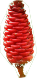 Fleur de Pooloy